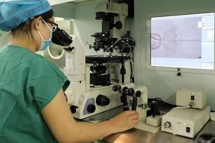 辅助生殖午后大涨！浙江拟将试管婴儿费用归入医保