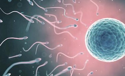 试管婴儿取卵出现空卵泡有影响吗？为什么会出现空巢卵泡综合征呢？