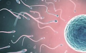 死精率80%的男性可以在北流市做三代试管吗？公开2026做三代试管条件