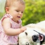 做试管婴儿取多少个卵子，才能保证试管婴儿成功？