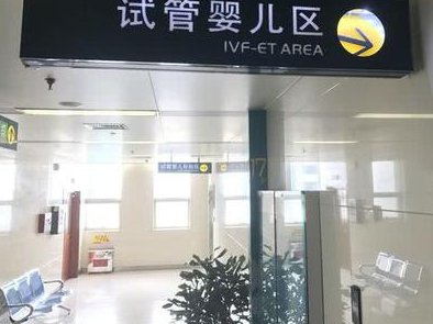 试管费用不再迷茫，俄罗斯之行报销全知道！