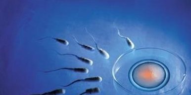 去泰国做试管哪家医院比较好？怎么选择？