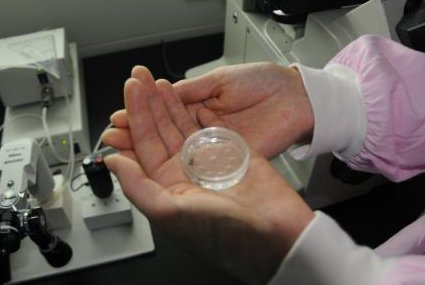 弱精患者做试管婴儿的影响因素